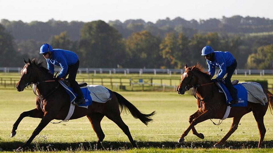 Two horses racing