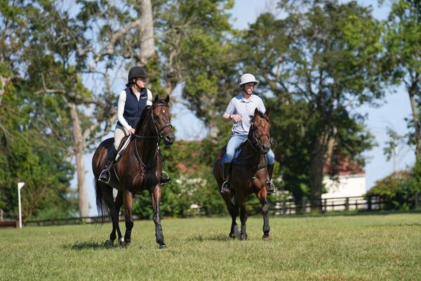 Prevalence & Last Cookie